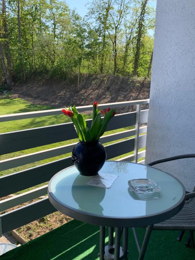 Hotel Markgraf Bad Bellingen Zewnętrze zdjęcie
