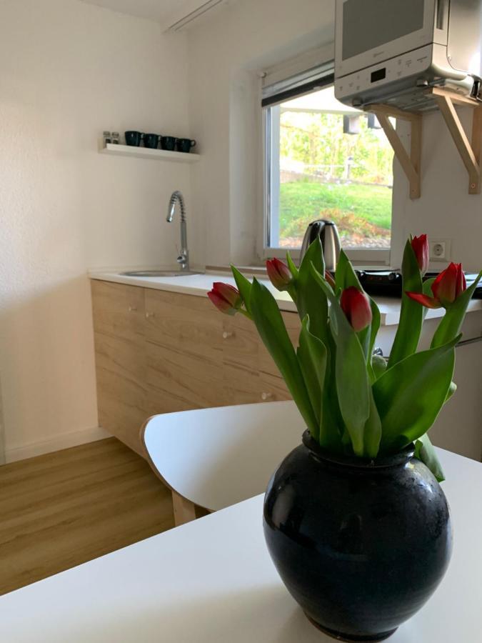 Hotel Markgraf Bad Bellingen Zewnętrze zdjęcie